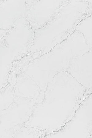 Ariston White Quartz countertop slab