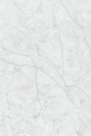 Blanco Perla Quartz countertop slab