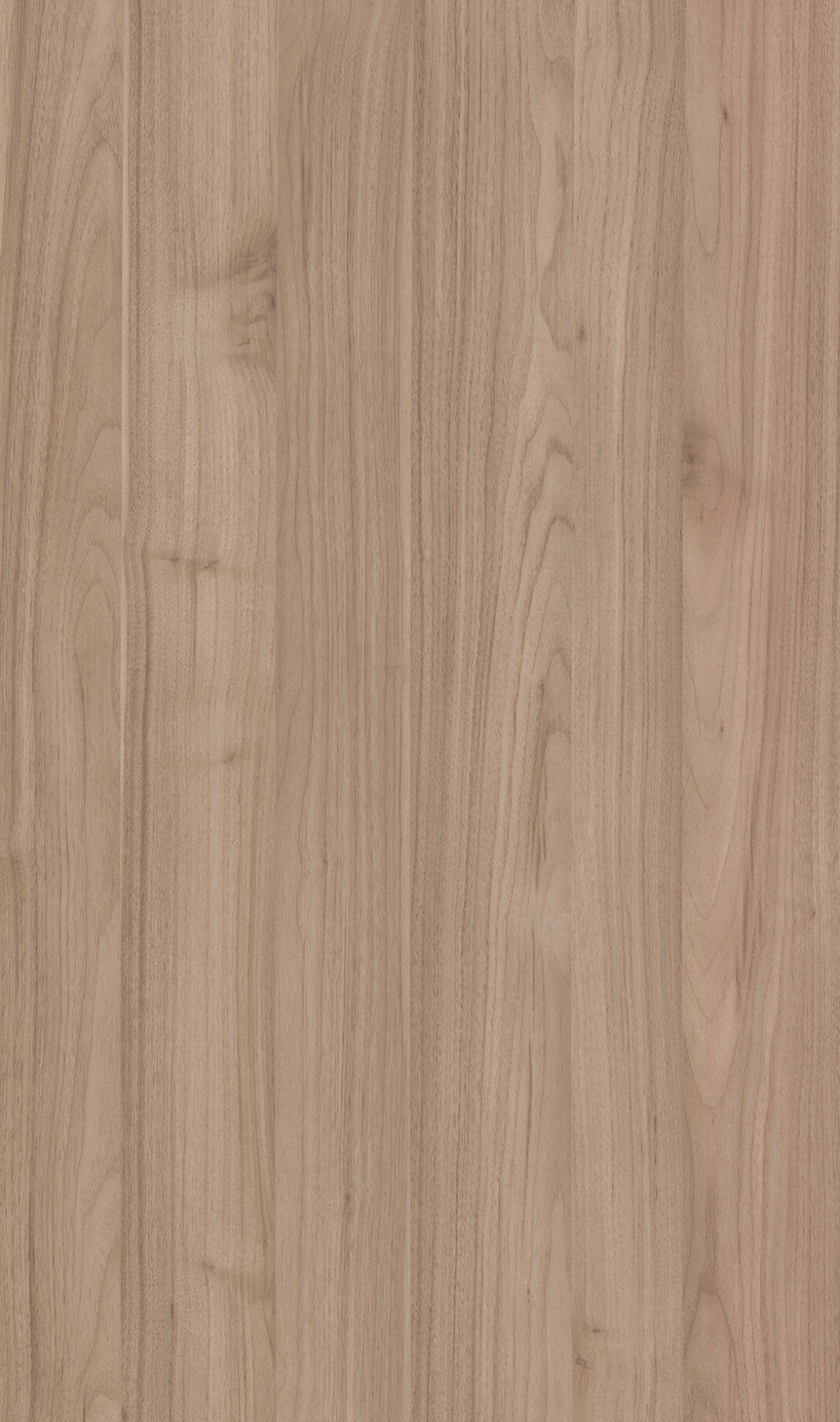 Outdoor cabinet color Nocce 1