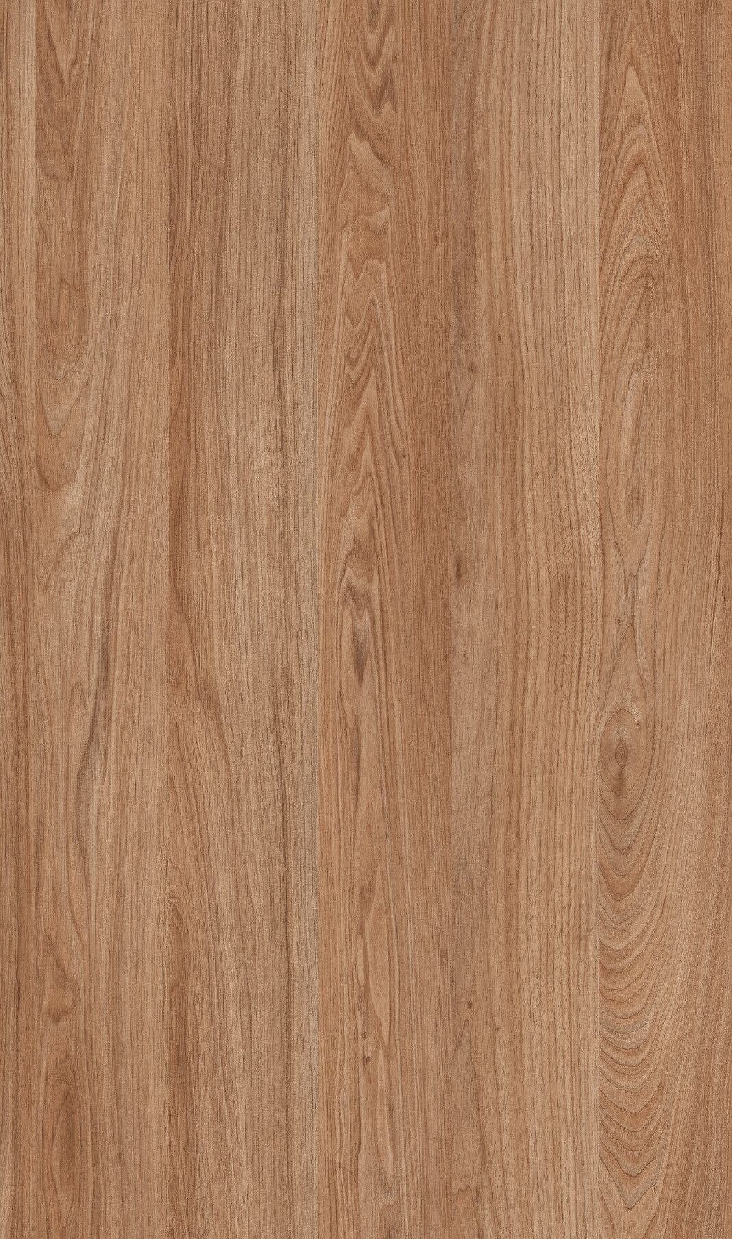 Outdoor cabinet color Rosales 2