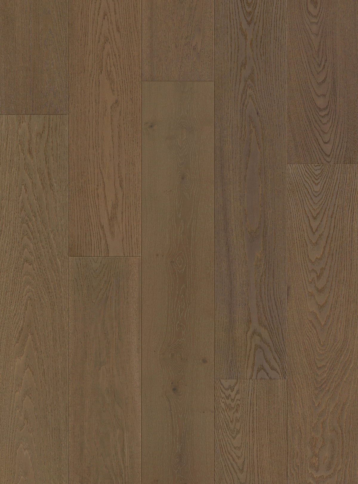 Ribadao Fra-Grance Essia engineered hardwood flooring room scene